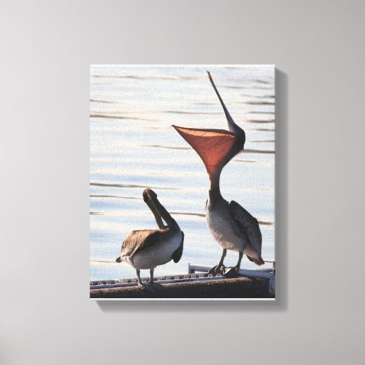 Pelikaan Vogels Wildlife Dieren Strand Canvas Afdruk (Voorkant)