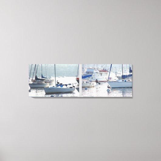 Pelikaan Vogels Wildlife Dieren Strand Canvas Afdruk (Voorkant)