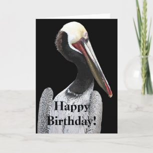 Pelikaan Vogels Wildlife Dieren Strand Kaart