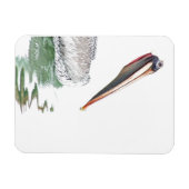 Pelikaan Vogels Wildlife Dieren Strand Magneet (Horizontaal)