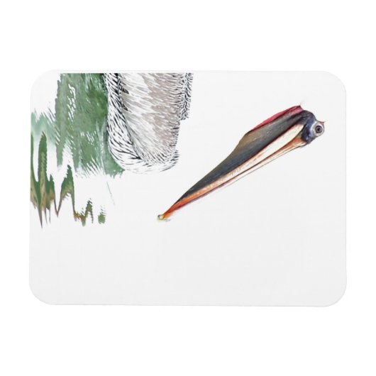 Pelikaan Vogels Wildlife Dieren Strand Magneet (Horizontaal)