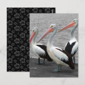 Pelikaan Zee Vogel Minimalistische Kleur Pop Fotog Briefkaart (Voorkant / Achterkant)