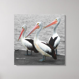Pelikaan Zee Vogel Minimalistische Kleur Pop Fotog Canvas Afdruk