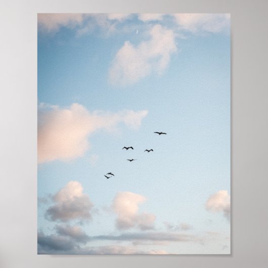 Pelikaan Zonsondergang Print Poster Papier (Halfgl (Voorkant)