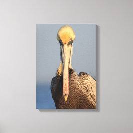 Pelikaanhouding Canvas Afdruk