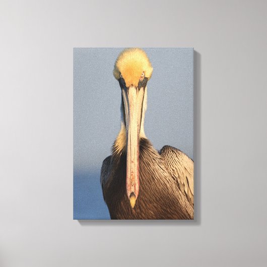 Pelikaanhouding Canvas Afdruk (Voorkant)
