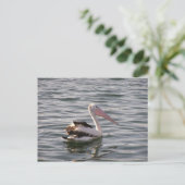 pelikaans briefkaart (Staand voorkant)