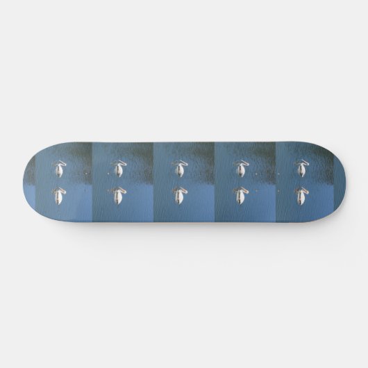 pelikaanse paarskateboard skateboard (Horizontaal)