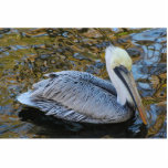 Pelikaanse sculptuur staand fotobeeldje<br><div class="desc">Bruine pelikaan op het water</div>