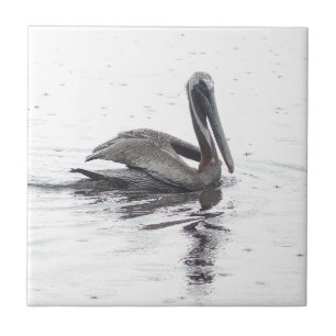 Pelikaanse vogel in de regen tegeltje