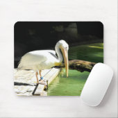 Pelikaanse vogel muismat (Met muis)
