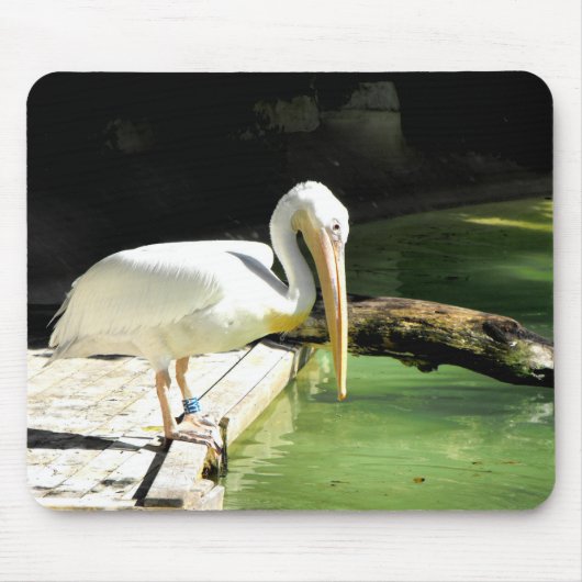 Pelikaanse vogel muismat (Voorkant)