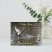 Pelikaanse vogel vliegend Briefkaart van Florida (Staand voorkant)