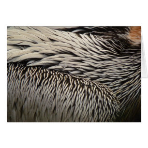 Pelikaanveren Abstracte Natuurfotografie