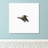 Pelikaanvlucht | voet. Myers, FL | 24x24 Canvas (Insitu (Houten vloer))
