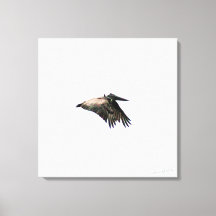 Pelikaanvlucht | voet. Myers, FL | 24x24 Canvas