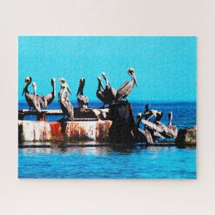 Pelikanen aan de kust, Jigzaag Puzzle Legpuzzel