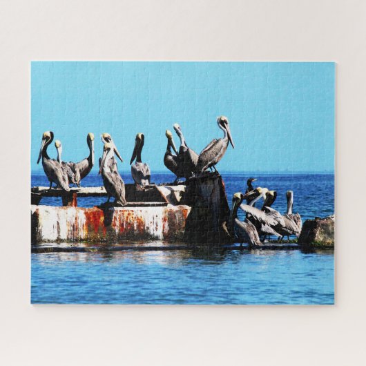 Pelikanen aan de kust, Jigzaag Puzzle Legpuzzel (Horizontaal)