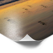 Pelikanen bij zonsondergang - Venice Beach, CA Foto Afdruk (Hoek)