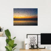 Pelikanen bij zonsondergang - Venice Beach, CA Poster (Thuiskantoor)