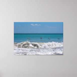 Pelikanen boven de Atlantische Oceaan Canvas Afdruk
