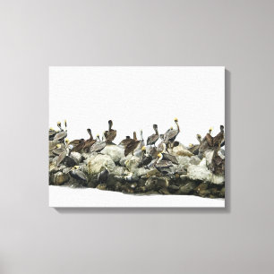 Pelikanen Canvas Afdruk