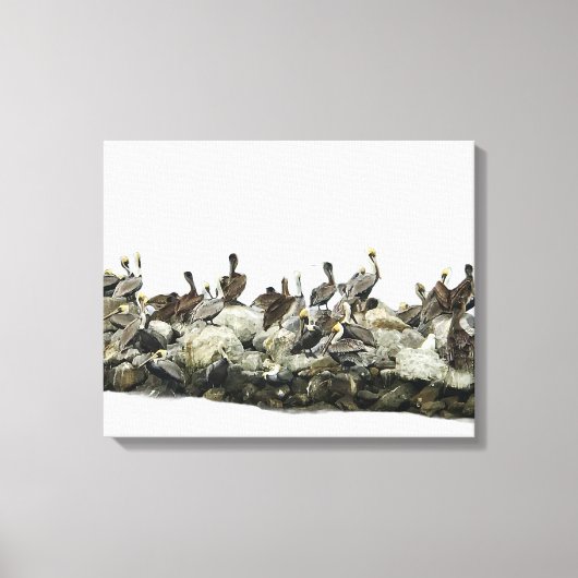 Pelikanen Canvas Afdruk (Voorkant)