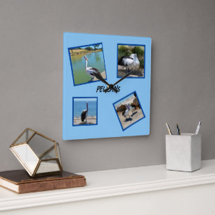 Pelikanen de wereld coolste vogel vier fotolijsten vierkante klok