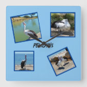 Pelikanen de wereld coolste vogel vier fotolijsten vierkante klok (Voorkant)