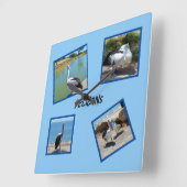 Pelikanen de wereld coolste vogel vier fotolijsten vierkante klok (Hoek)