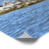 Pelikanen en aalscholvers en de brug over de Dauph Poster (Hoek)