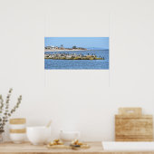 Pelikanen en aalscholvers en de brug over de Dauph Poster (Keuken)