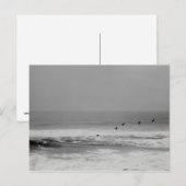 Pelikanen en golven in zwart-wit Briefkaart (Voorkant / Achterkant)