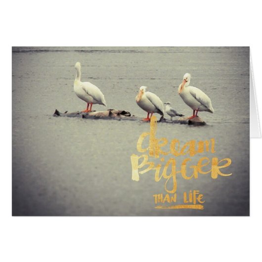 Pelikanen en Seagull Dream Bigger Inspiratie (Voorkant Horizontaal)