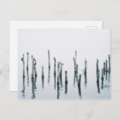 Pelikanen en zeeen vogels met reflectie briefkaart (Voorkant / Achterkant)