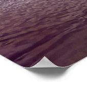 Pelikanen in de baai poster (Hoek)