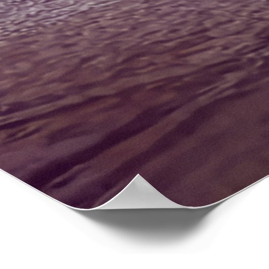 Pelikanen in de baai poster (Hoek)