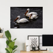 Pelikanen in de Whitemouth River, Manitoba Poster (Thuiskantoor)