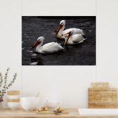 Pelikanen in de Whitemouth River, Manitoba Poster (Keuken)