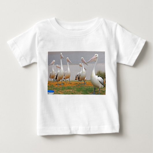 Pelikanen in Kalbarri, Western Australië (Voorkant)