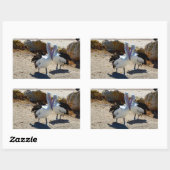 Pelikanen in liefde, rechthoekige sticker (Vel)