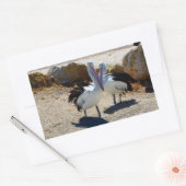 Pelikanen in liefde, rechthoekige sticker (Envelop)