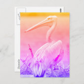 Pelikanen met roze rugdekking briefkaart (Voorkant / Achterkant)
