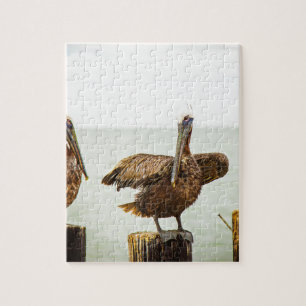 Pelikanen op berichten legpuzzel