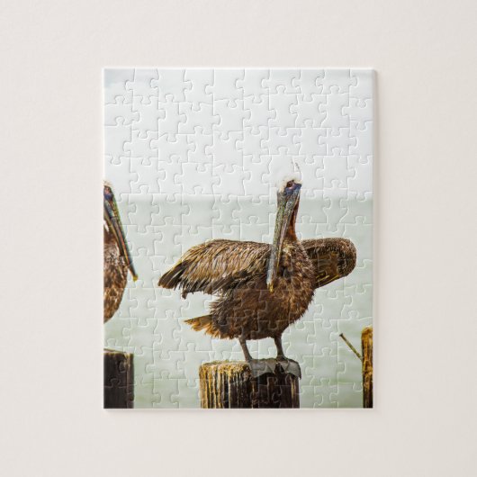 Pelikanen op berichten legpuzzel (Verticaal)