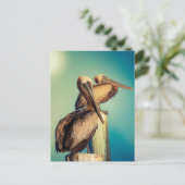 Pelikanen op Dawn Briefkaart (Staand voorkant)