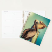 Pelikanen op Dawn Planner (Display)