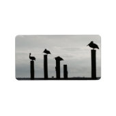 pelikanen op de pier etiket (Voorkant)