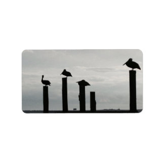 pelikanen op de pier etiket