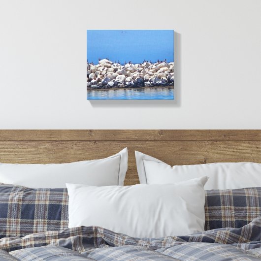 Pelikanen op de rotsen op de prachtige Stille Ocea Canvas Afdruk (Insitu (Slaapkamer))